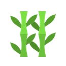 bamboo