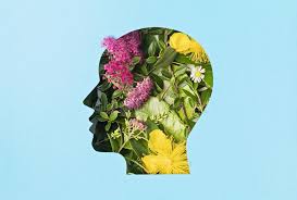 brain
