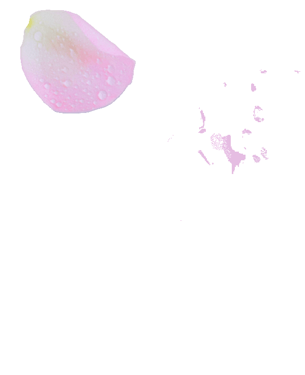 acupuntura