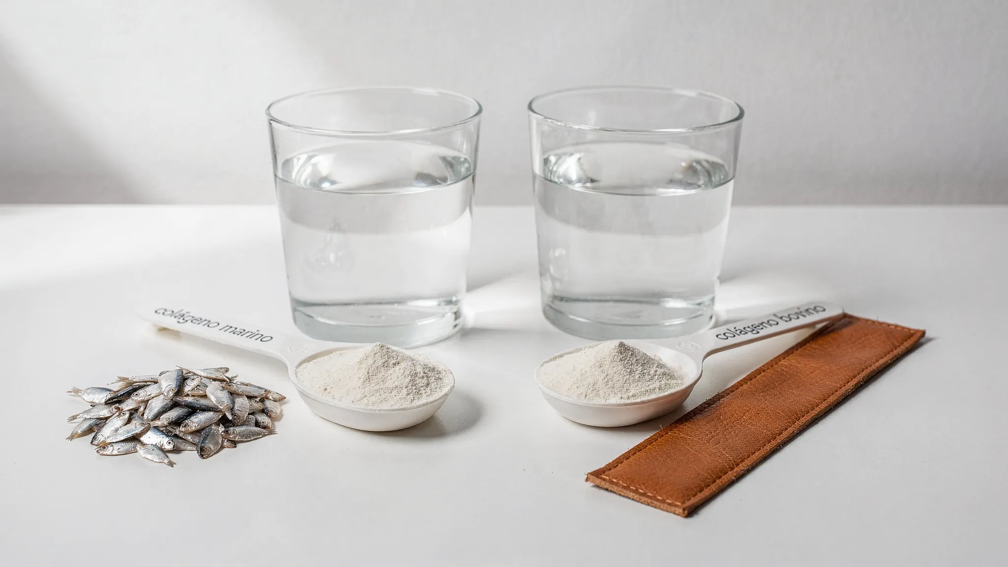 Dos vasos de agua sobre mesa blanca con cucharas medidoras de polvo de colágeno. A la izquierda, “colágeno marino” junto a escamas de pescado. A la derecha, “colágeno bovino” junto a una tira de piel vacuna curtida. Luz natural suave, estilo minimalista.