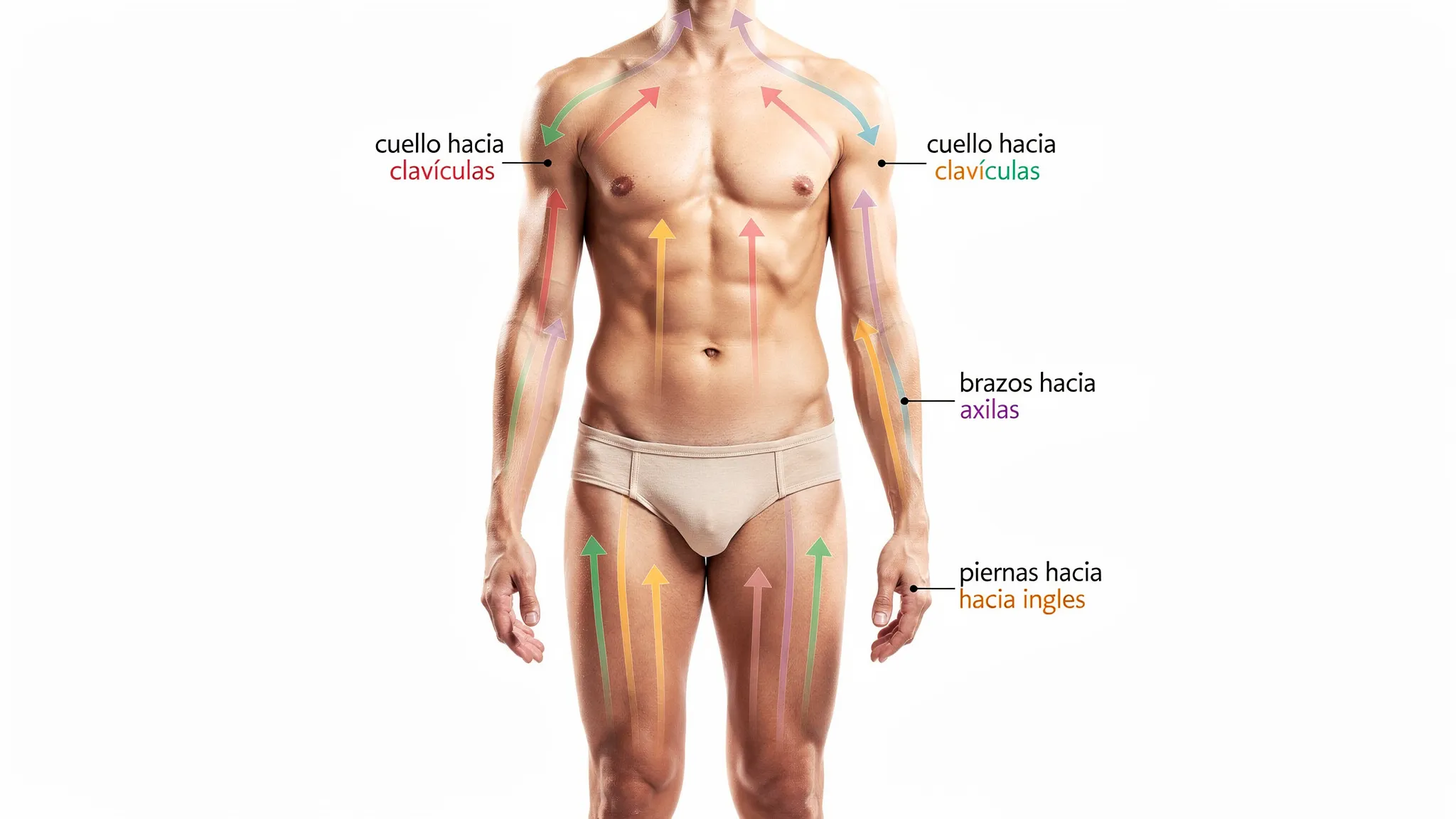 Ilustración sencilla del cuerpo humano con flechas que muestran la dirección recomendada del masaje linfático en casa: cuello hacia clavículas, brazos hacia axilas y piernas hacia ingles.