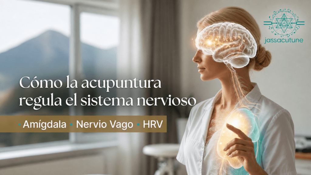 como la acupuntura regula el sistema nervioso jassacutune amigdala nervio vago hrv es