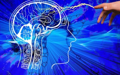 brain power xs
