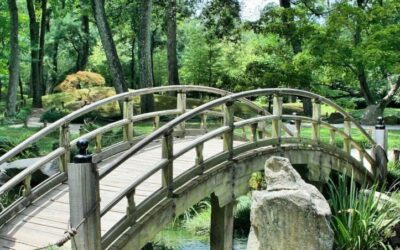 bridge 500 px