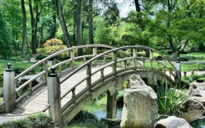 bridge-g6a6238c0a_1280