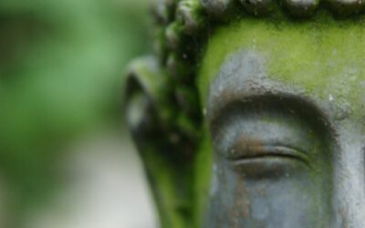 buddha kid smiling xs