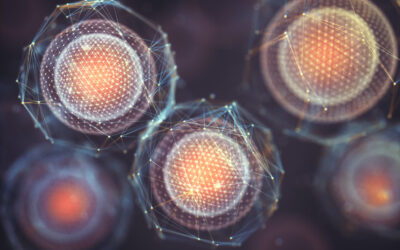 Cell Division Biotechnology