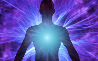 Human body