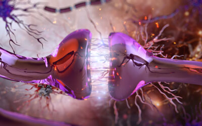 Neurons connecting through synapses. Connection of nerve cells, synaptic cleft, electrical signals, neurotransmitter activity
