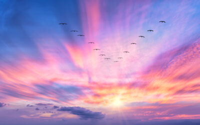 Sunset Beautiful Inspirational Hope Nature Banner