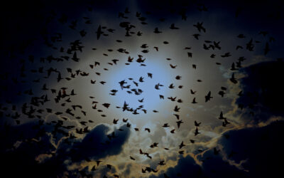 A blurred flock of flying birds against sky