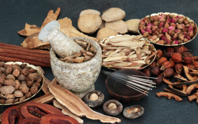 Chinese Acupuncture Treatment with Needles Herbs and Spice