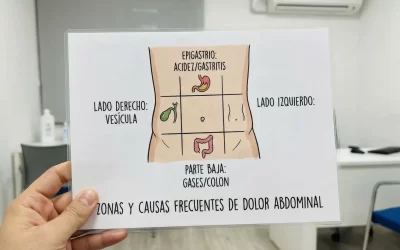 ilustracion-sencilla-del-abdomen-dividido-en-zonas-1770329716195