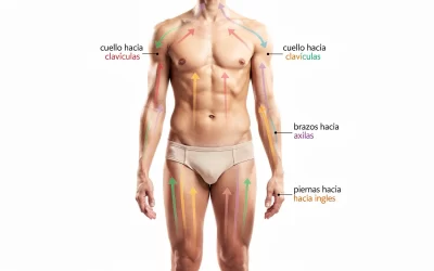 ilustracion-sencilla-del-cuerpo-humano-con-flechas-1767567383661