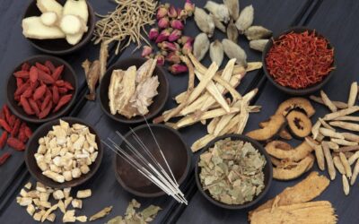 magic potion chinese herbs