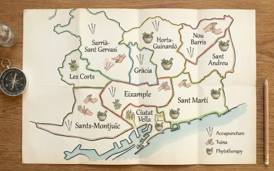 mapa-ilustrado-de-barcelona-con-distritos-senalado-1769292773488