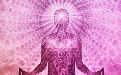 meditation pink 350 x 622
