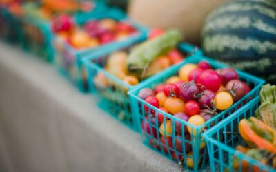 nutritionist-32