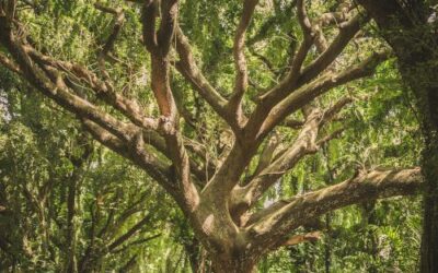 root cause 4 front veeterzy-sMQiL_2v4vs-unsplash
