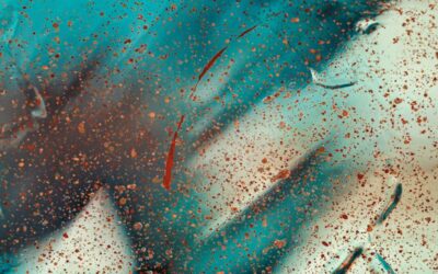 socrates abstract small