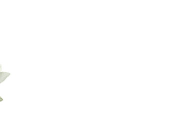 spa-background-07@2x