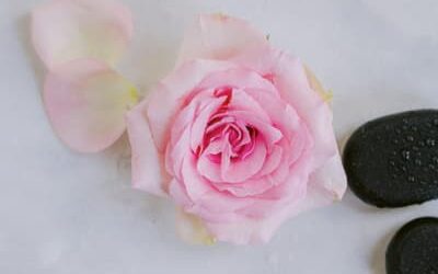 spa_beauty-21