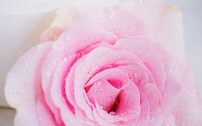 spa_beauty-37