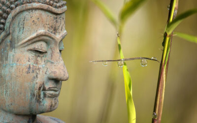 wellness-resolution 300